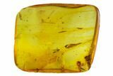 mm Fossil Flower In Baltic Amber #123310-3